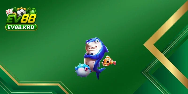 Các chế độ chơi